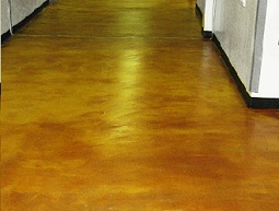 Dyeing/Staining Polished Concrete Floors